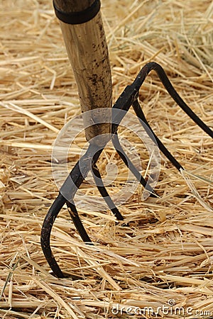 Pitchfork Stock Photo