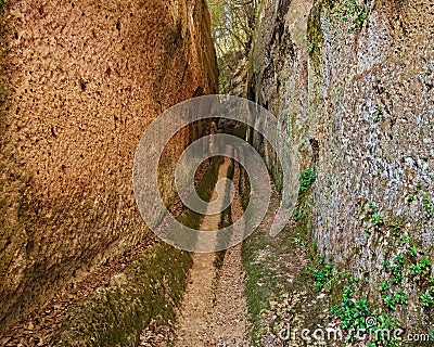 Pitigliano, Grosseto, Tuscany, Italy: Etruscan Vie Cave, excavated roads, long trench dug into the tuff rock Stock Photo