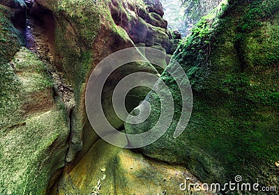 Pivnice sandstone canyon in Czech republic, Vysocina Stock Photo