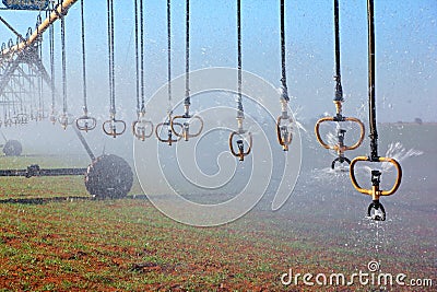 Pivot irrigation Stock Photo