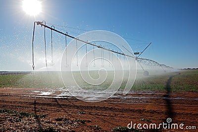 Pivot irrigation Stock Photo