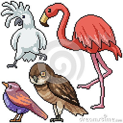 Pixel art isolated wild bird species Vector Illustration