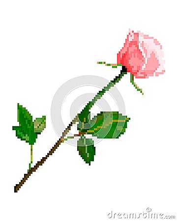 Pixel art rose flower isolated on white background Vector Illustration