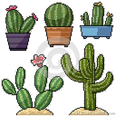 pixel art isolated cactus decoration Vector Illustration