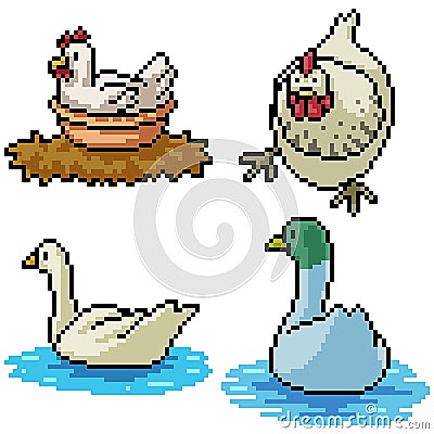 Pixel art isolated chicken duck Vector Illustration