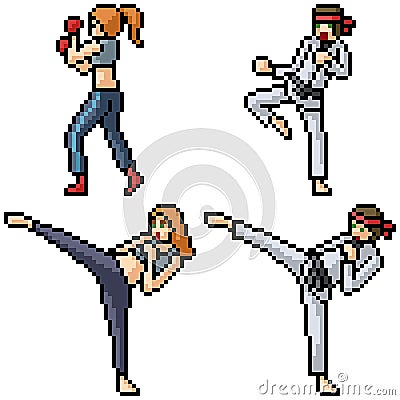 Pixel art isolated martial art fighter Vector Illustration