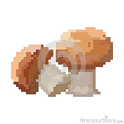 Pixel mushrooms Vector Illustration