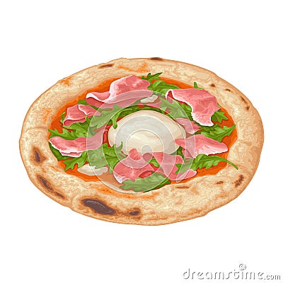 Pizza with arugula, burrata and prosciutto. Vector color realistic illustration Vector Illustration