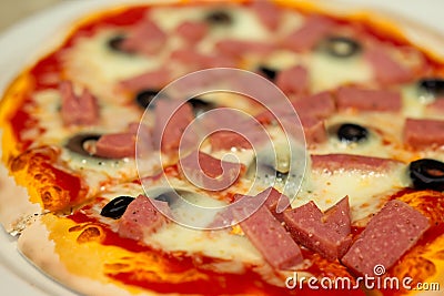 Pizza. Homemade pizza. Delicious pizza. World Pizza Day. February 9. 2024. Stock Photo