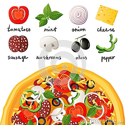 Pizza and ingredients Vector Illustration