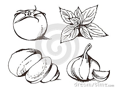 Pizza Margherita ingredients set, tomato, mozzarella, basil, garlic Vector Illustration