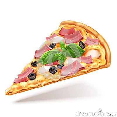 Pizza with meat and cheese slice Vector Illustration