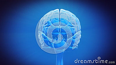 Pièce de cerveau - SYSTÈME LIMBIC Pièce de cerveau - SYSTÈME LIMBIC