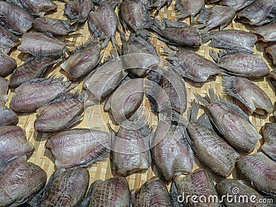 Pla Salit sun-dried fish is thai food. Stock Photo