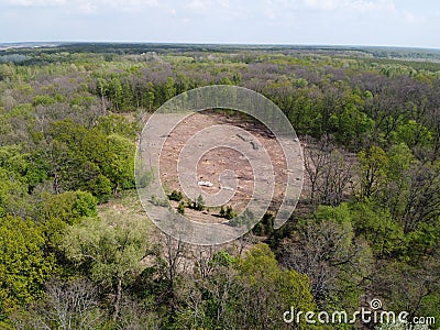 A place of felling, aerial view. Devastated land, clearing Stock Photo