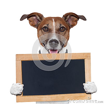 Placeholder banner dog Stock Photo
