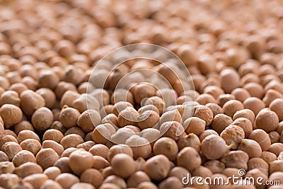 Placer chickpeas texture Stock Photo