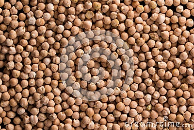 Placer chickpeas texture Stock Photo