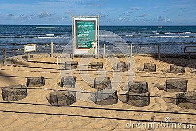 Places dedicated to the birth of turtles at Tamar project on Praia do Forte, Brazil Editorial Stock Photo