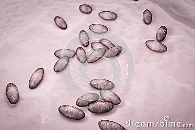 Plague bacteria Yersinia pestis Cartoon Illustration