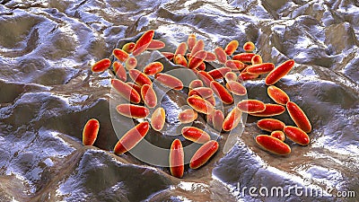 Plague bacteria Yersinia pestis Cartoon Illustration