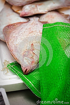 Plaice fish on seafood market Stock Photo