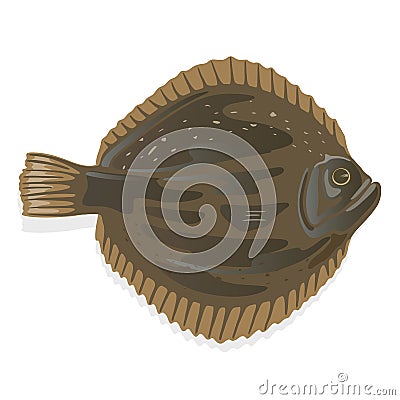 Plaice or flatfish, flounder which has dark brown skin on one side and white on the other. Seafood. Vector Illustration