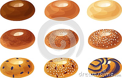 Plain, Cinnamon Sugar, Poppy Seed, Everything, Blueberry, Cranberry and Oat, and Blueberry Swirl Bagels Cartoon Illustration