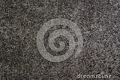 Plain textured concrete wall with green mould patches Stock Photo