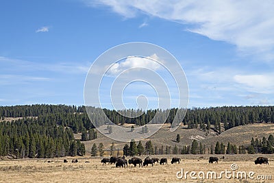 The Plains Stock Photo