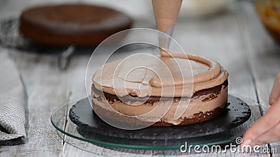 Plan Rapproche Creme De Biscuit Sous Forme De Spirale Sur Le Gateau Gateau Mousseline De Chocolat Avec De La Creme Preparation Banque De Videos Video Du Gourmet Bake