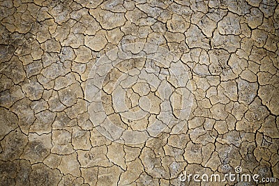 Cracks of the dried soil Stock Photo