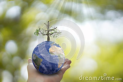 Plane Earth globe ball and growing tree in human hand on green sunny background. Stock Photo