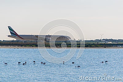 Larnaca, Cyprus, Europe - Jan. 29, 2018, plane in the Larnaca International Airport and salt lake with some flamingos Editorial Stock Photo