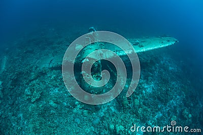 Plane Wreck From WWII Underwater Stock Photo