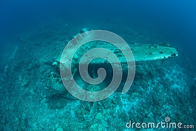 Plane Wreckage From WWII Underwater Stock Photo