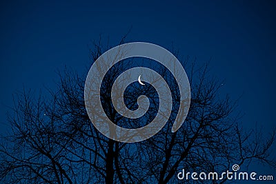 Planet conjunction in winter Stock Photo