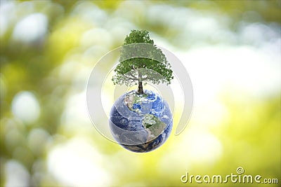 Planet Earth globe ball and growing tree on green sunny blurred background. Stock Photo