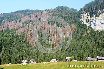 Planina Blato, traditional pasture, Triglav, Slovenia Stock Photo