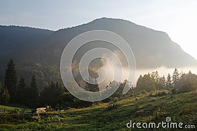 Planina Blato, traditional pasture, Triglav, Slovenia Stock Photo