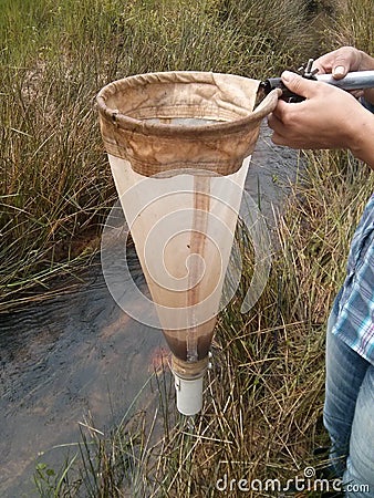 Plankton net sampling phytoplankton Stock Photo