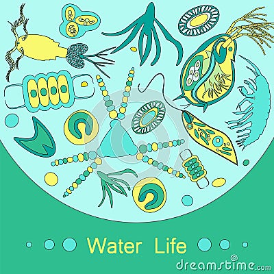 Plankton phytoplankton zooplankton outline Vector Illustration
