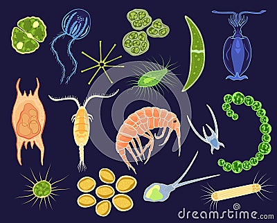 Plankton vector aquatic phytoplankton and planktonic microorganism under microscope in ocean illustration set of micro Vector Illustration