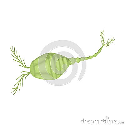 Plankton vector icon.Cartoon vector icon isolated on white background plankton. Vector Illustration