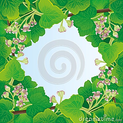 Frame of currant leaves and flowers. Vector Illustration