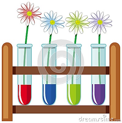 Plant absorb the water colour experiment Vector Illustration