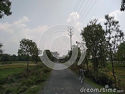 Plant and high extension wire of electricity on bank of roads in madhubani India Stock Photo