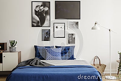 Plant on cabinet next to navy blue bed in bedroom interior with white lamp and gallery. Real photo Stock Photo