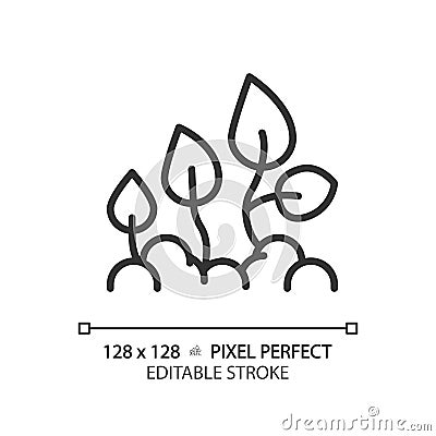 Plant development linear icon Vector Illustration