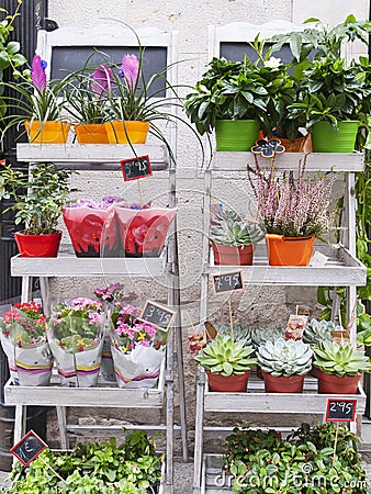 Plant exhibitors Stock Photo